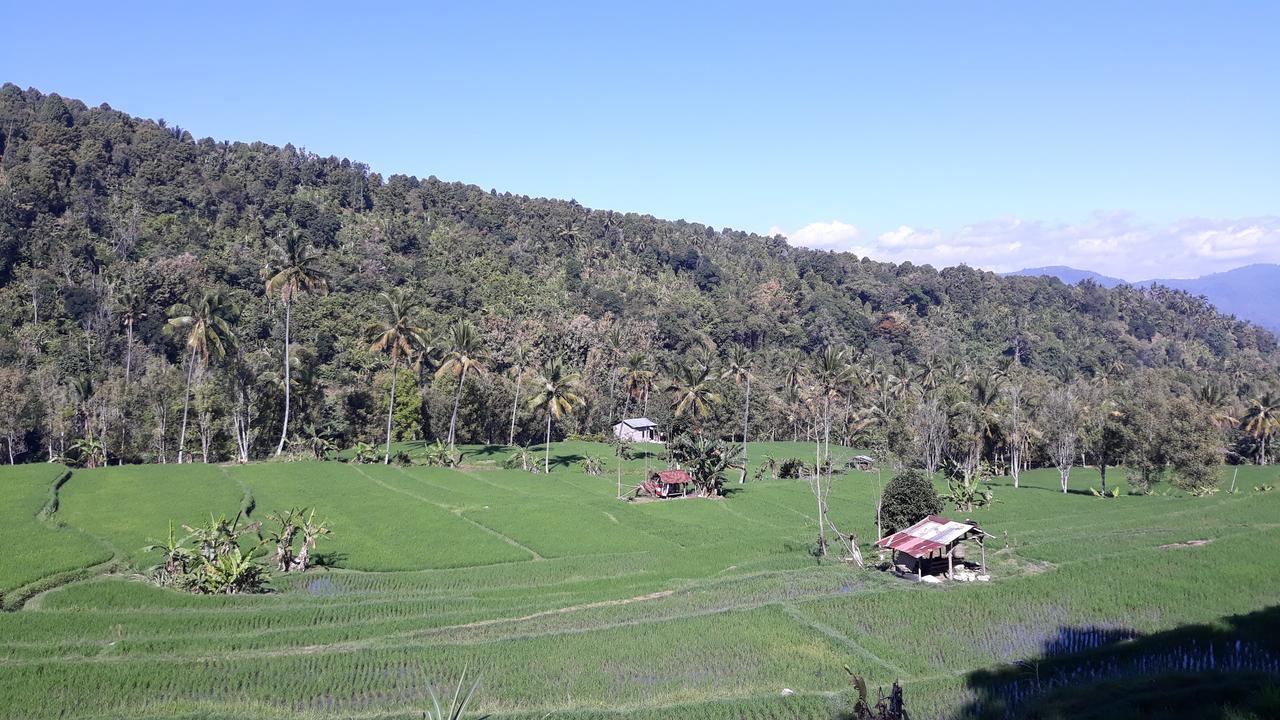 Bagus Beach Resort Lovina Pabean Buleleng Eksteriør billede